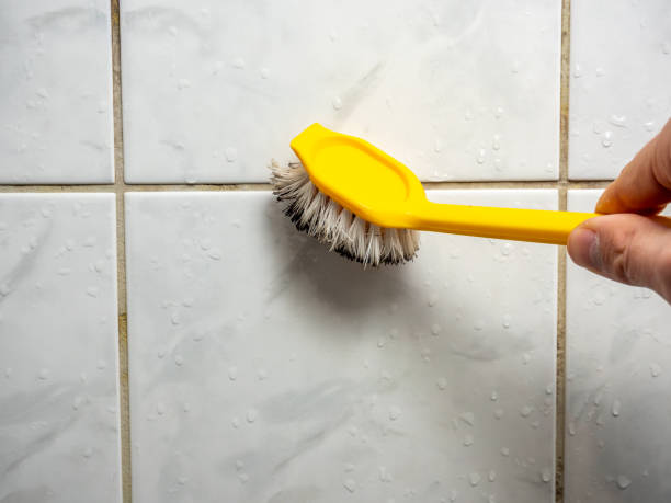 Best Fast Mold Removal  in Fremont, IN