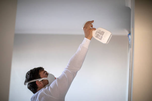 Best Mold Removal Company Near Me  in Fremont, IN
