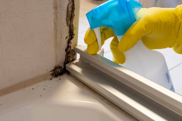 Best Crawl Space Mold Removal  in Fremont, IN