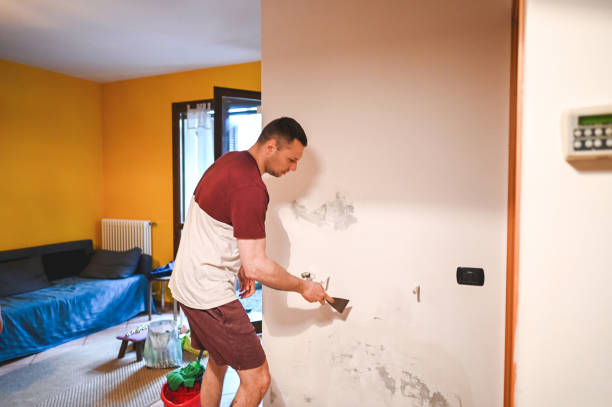 Best Mold Removal and Inspection  in Fremont, IN